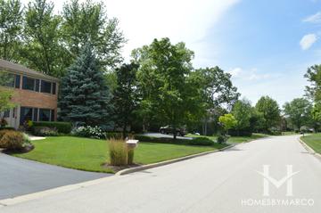 Woodgate subdivision in Lincolnshire, IL