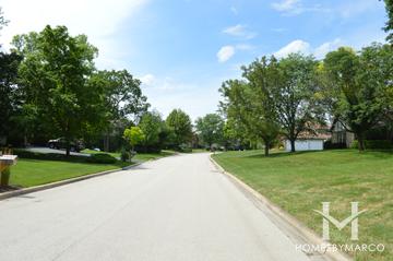 Woodgate subdivision in Lincolnshire, IL