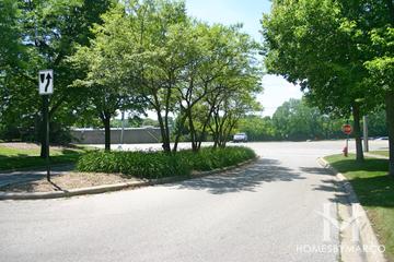 Brittany Woods subdivision in Cary, IL