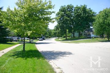 Brittany Woods subdivision in Cary, IL