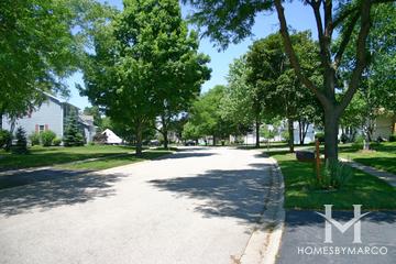 Brittany Woods subdivision in Cary, IL