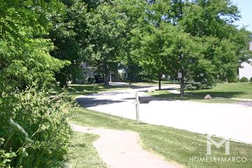 Brittany Woods subdivision in Cary, IL