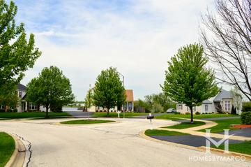 Water Stone subdivision in Wauconda, IL