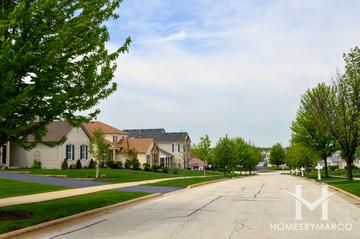 Water Stone subdivision in Wauconda, IL