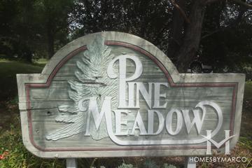 Pine Meadow