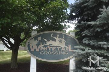 Whitetail Crossing