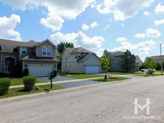 Park View subdivision in Round Lake, IL