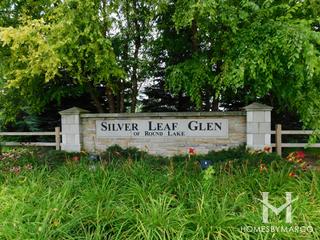 Photos of Silver Leaf Glen subdivision in Round Lake, IL