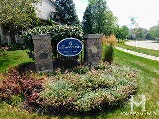 Photos of The Woodlands subdivision in Round Lake, IL