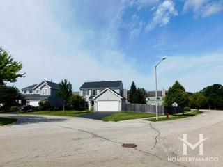 Treehouse in the Woods subdivision in Round Lake, IL