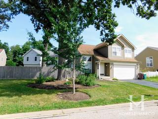 Treehouse in the Woods