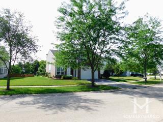 Treehouse in the Woods subdivision in Round Lake, IL