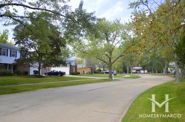 Northwoods subdivision in Deerfield, IL