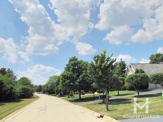 Photos of Newells Reserve subdivision in Lake Forest, IL