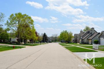 Photos of Bakleys subdivision in Huntley, IL