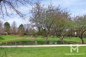 Poplar Creek subdivision in Hoffman Estates, IL