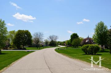 Photos of Harmony Trails Estates subdivision in Huntley, IL