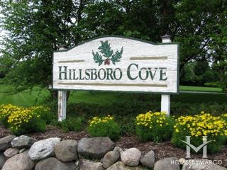 Photos of Hillsboro Cove subdivision in Huntley, IL