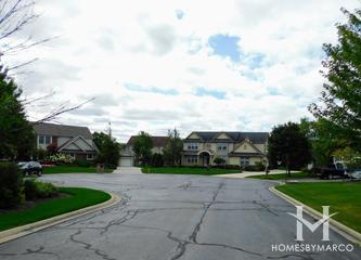 Hamilton Estates subdivision in Mettawa, IL