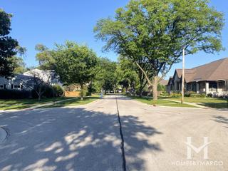 Bluett subdivision in Mount Prospect, IL