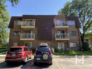 Central Village subdivision in Mount Prospect, IL