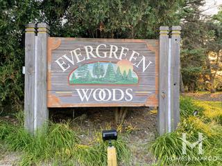 Evergreen Woods