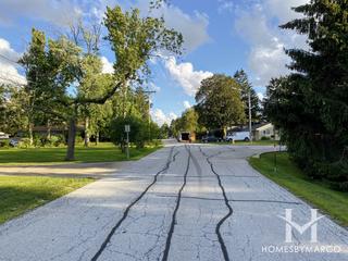 Forest River subdivision in Mount Prospect, IL