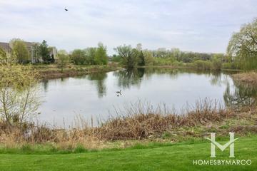 Boulder Ridge West Villa subdivision in Lake in the Hills, IL