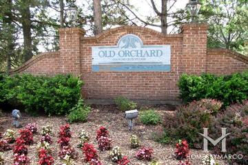 Old Orchard