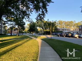 Randwood Towers subdivision in Mount Prospect, IL