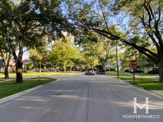 We Go Park subdivision in Mount Prospect, IL