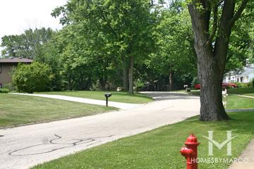 Brigadoon subdivision in Cary, IL