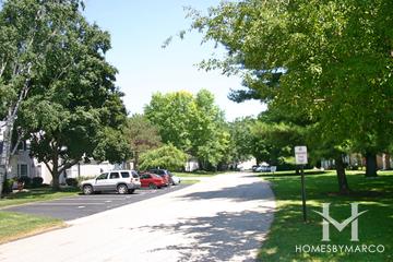 Bright Oaks subdivision in Cary, IL