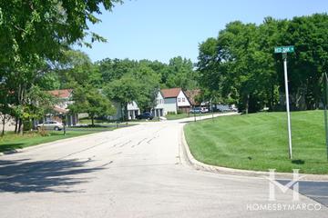 Bright Oaks subdivision in Cary, IL