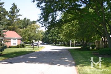 Bright Oaks subdivision in Cary, IL