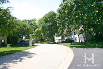 Bright Oaks subdivision in Cary, IL