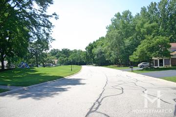 Bright Oaks subdivision in Cary, IL