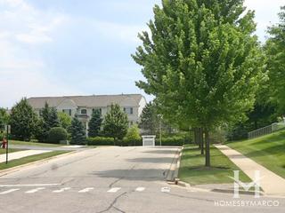 Cary Woods subdivision in Cary, IL