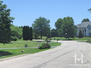 Chalet Hills Estates subdivision in Cary, IL