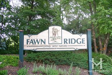 Fawn Ridge