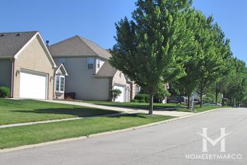 Fox Trails subdivision in Cary, IL