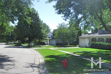 Fox Trails subdivision in Cary, IL