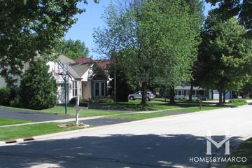 Fox Trails subdivision in Cary, IL