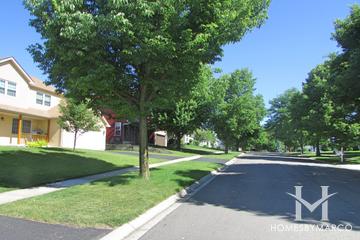 Fox Trails subdivision in Cary, IL