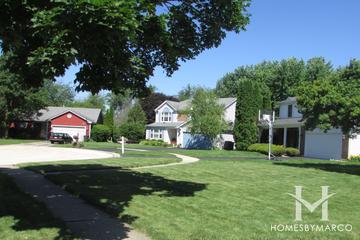 Fox Trails subdivision in Cary, IL