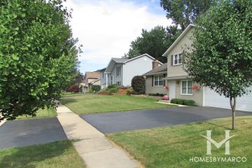 Franke subdivision in Cary, IL