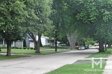 Franke subdivision in Cary, IL