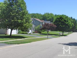 Patriot Meadows subdivision in Cary, IL