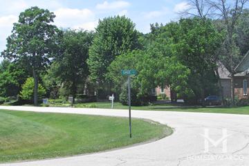 River Orchard subdivision in Cary, IL