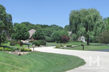 River Orchard subdivision in Cary, IL